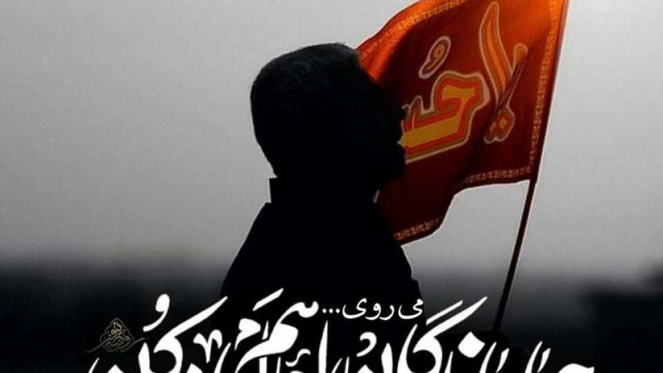 پیاده‌ روی جاماندگان اربعین حسینی